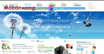 數(shù)碼產品代理公司網頁模板免費下載，HTML+CSS格式，設計編號15274638，千圖網優(yōu)質資源